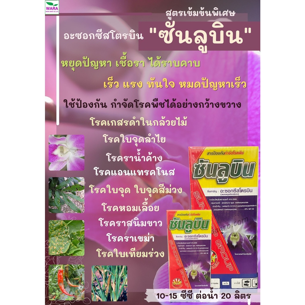 อะซอกซีสโตรบิน25 ซันลูบิน โรคใบจุด กุ้งแห้ง หอมเลื้อย แอนแทรคโนส รากเน่าโคนเน่า ผลเน่า ดอกเน่า ใบไหม้ ใบติดในทุเรียน