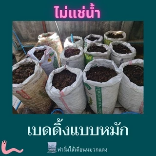 เบดดิ้งเลี้ยงไส้เดือน ปุ๋ยหมัก ขี้วัวนมหมัก ปุ๋ยคอกหมัก ปุ๋ยขี้วัวนม ที่อยู่ไส้เดือน