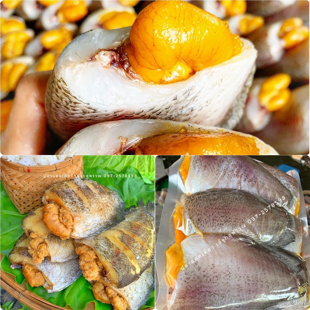 รูปภาพ 4