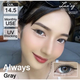 คอนแทคเลนส์🌈Always🌈 Brown / Gray (Luxzylens) ขนาดบิ๊กอาย💖