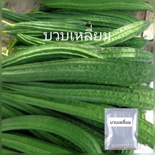 ผู้ผลิตเมล็ดพันธุ์/เมล็ดพันธุ์ บวบเหลี่ยม 25เมล็ด20บ./ขายดี พันธุ์ อินทรีย์ JPSB
