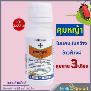 ยาคุมหญ้า บาลานซ์ ไซโปรซัลฟาไมค์ ไอซอกซาฟลูโทล สารป้องกันกำจัดวัชพืช สารคุมวัชพืช คุมนาน3เดือน ขนาด 100 ซีซี