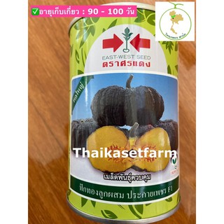 ฟักทองประกายเพชรลูกใหญ่ ☘️ตราศรแดง 100 กรัม☘️