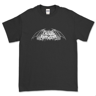 เสื้อยืดวินเทจเสื้อยืดลาย Phoebe BRIDGERS - เสื้อยืดโลหะS-4XL