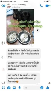น้ำมันตับปลา สำหรับสัตว์เลี้ยง ช่วยให้ขนสวย ขนแน่นไม่หลุดร่วง สุขภาพดี กินง่าย ไม่มีกลิ่น