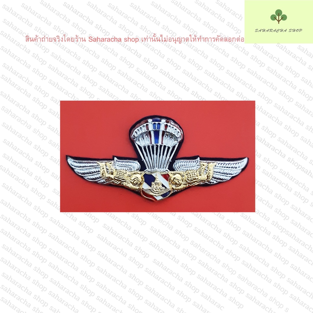 ปีกเหินเวหา  ปีกกระโดดหอรูปธง ปีกกระโดดหอตัวหนังสือทอ. เครื่องหมายโลหะ  แบบเข็มหมุด - รูปที่ 2