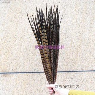 Lowest Discount✻☼♂DIY เครื่องประดับอุปกรณ์เสริมธรรมชาติขนไก่ฟ้าป่าขนไก่ฟ้า ling หางปักกิ่งโอเปร่า lingzi ภูเขาไก่หาง 30-