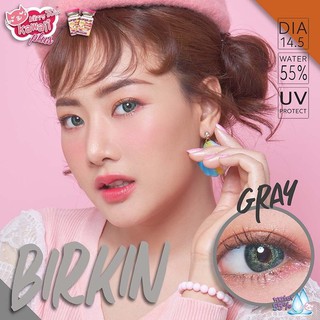 Birkin Gray (1) Kitty Kawaii สีเทา เทา ทรีโทน 3โทน ดูแพง ใส่สวย Contact Lens Bigeyes คอนแทคเลนส์ ค่าสายตา สายตา แฟชั่น