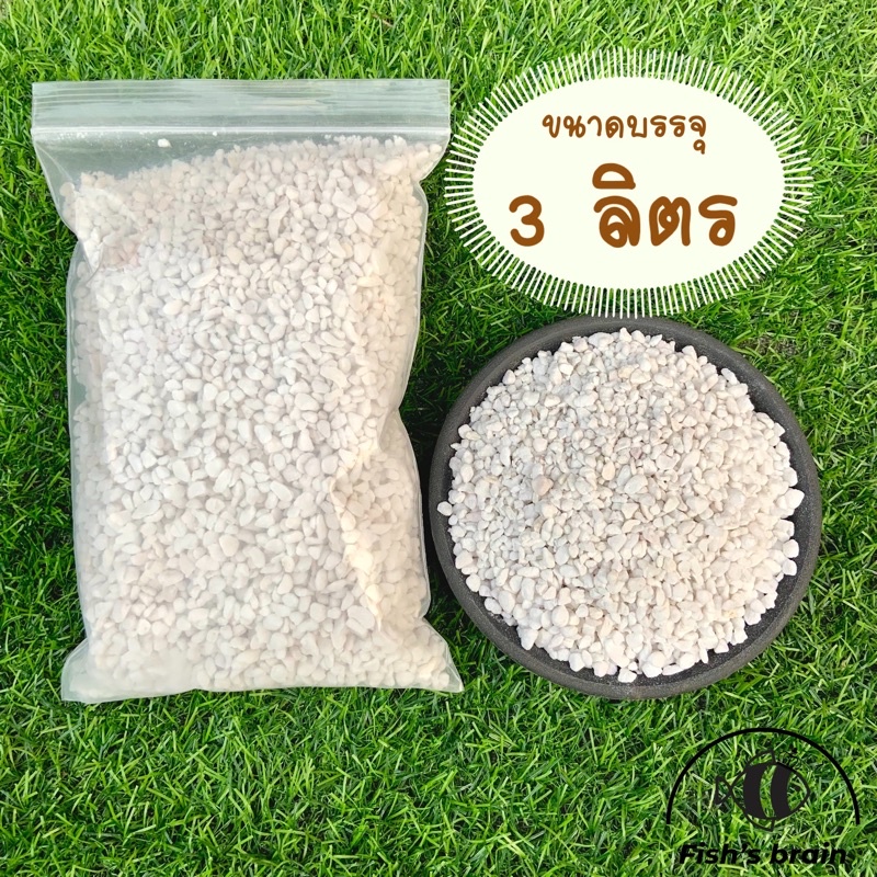[D06] 3 ลิตร สุดคุ้ม เพอร์ไลท์(Perlite) ฝุ่นน้อย วัสดุปลูก ดินปลูก