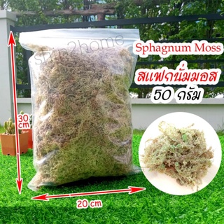 สแฟกนั่มมอส มอสขาว (Sphagnum Moss) 50 กรัม อุ้มน้ำดี กักเก็บความชื้น วัสดุปลูกคุณภาพสูง