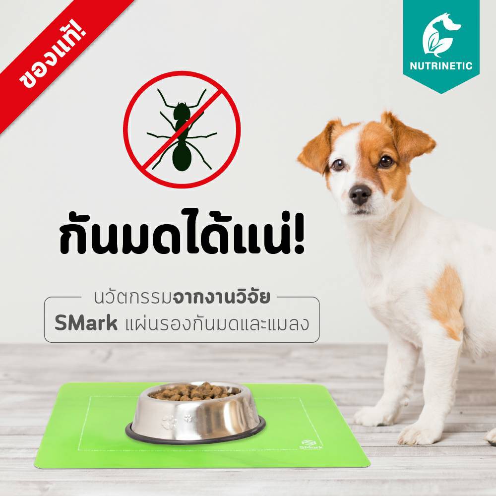 แผ่นกันมด กันแมลงขึ้นอาหาร ของแท้ Anti Ant Pad ผลิตภัณฑ์นวัตกรรมจากงานวิจัย