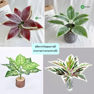 พร้อมส่งในไทย ถึงเร็วทันใจ ** ต้นไม้ประดิษฐ์ สวยงามเสมือนจริง สายพันธุ์ยอดนิยม รุ่น G33 (เฉพาะต้นไม้ไม่รวมกระถาง)
