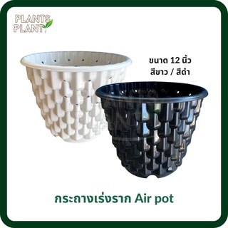 (5ใบ) กระถางเร่งราก Air pot 12" กระถางเพาะ กระถางปลูกกัญ กาชัน กระถางอากาศ