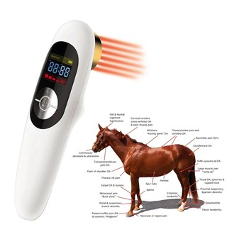 เลเซอร์สำหรับสัตว์ Veterinary Use Pets Dog Cat Horse Clinic Wound Healing Device Cold Laser Therapy Phototherapy De