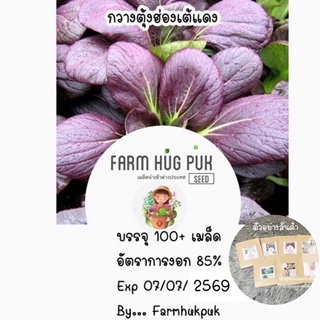 เมล็ดกวางตุ้งก้านแดง100+เมล็ด