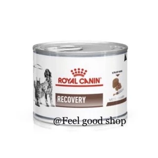 (( 1 กระป๋อง )) Royal canin Recovery 195 g. Exp.04/2027อาหารสัตว์ป่วยพักฟื้น