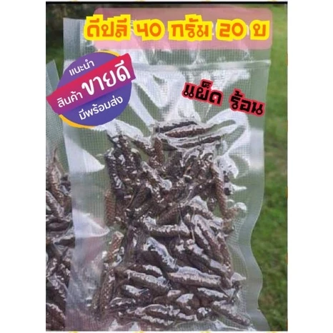 ดีปลีแห้ง เผ็ดร้อน ขนาด 40 กรัม