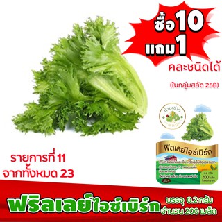 (ซื้อ10แถม1 ฟรีคู่มือ) เมล็ดพันธุ์ ฟิลเลย์ ไอซ์เบิร์ก FRILLICE ICEBERG  (0.2 กรัม 200 เมล็ด) ฟิลเล่ ฟินเล่ ทำมะชาดฟาร์ม