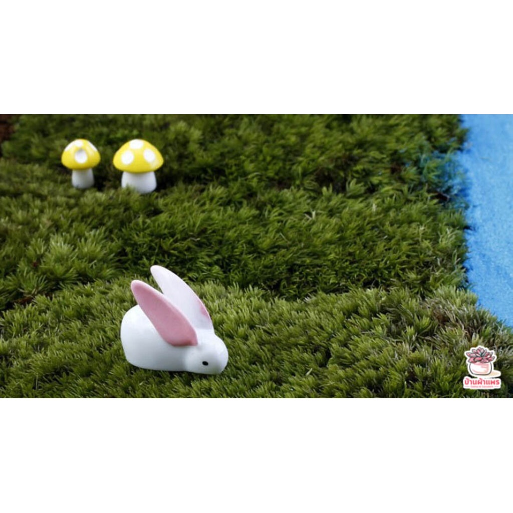 กระต่ายหูบิน [ เซต 5 ชิ้น ] ตุ๊กตาจิ๋ว โมเดลจิ๋ว แต่งสวน - รูปที่ 5