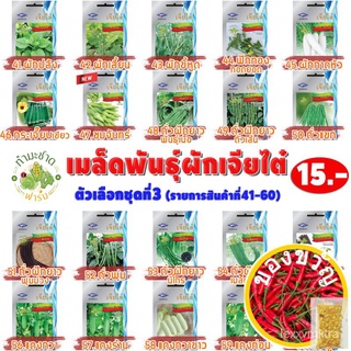 เมล็ดอวบอ้วน100%[10แถม2] เจียไต๋ เมล็ดพันธุ์ คะน้าฮ่องกง Chinese kale ประมาณ 1,100 เมล็ด ตราเจียไต๋ เมล็ดพันธุ์ผัก เมล็ด