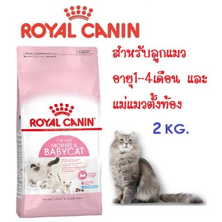 Royal Canin Baby Cat อาหารสำหรับลูกแมวอายุ1-4เดือน และแม่แมวตั้งท้อง ขนาด 2 กิโลกรัม