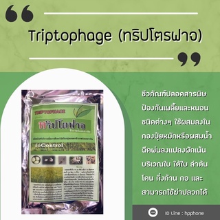 ทริปโตฟาจ ชีวภัณฑ์ปลอดสารพิษ