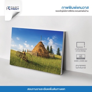 ภาพพิมพ์แคนวาสพรีเมี่ยม รูปทุ่งหญ้า วิว ธรรมชาติ ท้องฟ้า ตกแต่งบ้าน ความละเอียดสูง 2400x2400dpi