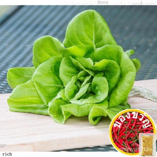 เมล็ดพันธุ์ ผักสลัดบิบ (Bibb Lettuce Seed) บรรจุ 100 เมล็ดMarigoldColorZinniaChamomileRussianRubyMixedesculentumManilaWh