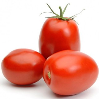 เมล็ด มะเขือเทศริโอ แกรนด์ - Rio Grande Tomato