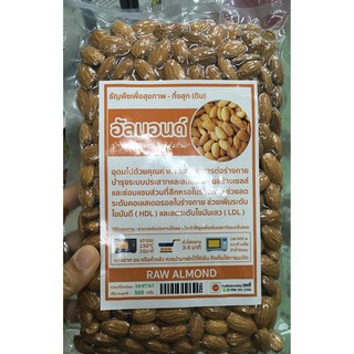 อัลมอนด์ดิบ Almond วัตถุดิบ เบเกอรี่ คีโต superfood 500 กรัม โปรตีนจากพืช ทำนม เค้ก คุ้กกี้ บรรจุ ถุงซิบ สูญญากาศอย่างดี