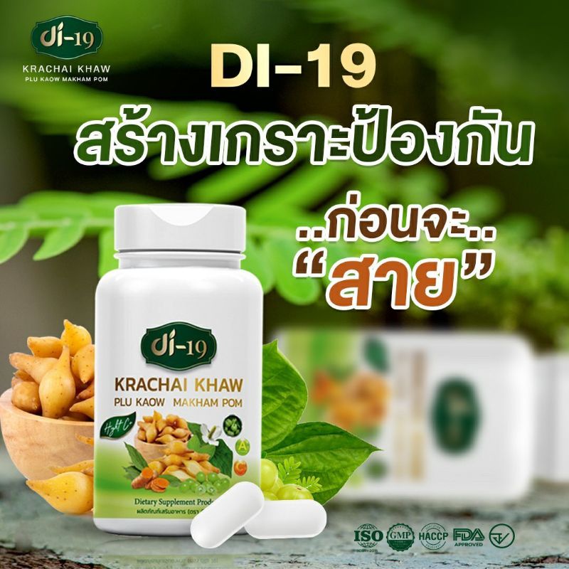 กระชายขาวdi19 พร้อมสมุนไพรธรรมชาติ