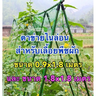 AAA ตาข่ายไนล่อน ขนาด 0.9x1.8 เมตร และ 1.8x1.8 เมตร ตาข่ายปลูกผัก ตาข่ายค้างผัก ตาข่ายเลื้อยผัก ตาข่ายเลื้อยพืชผัก