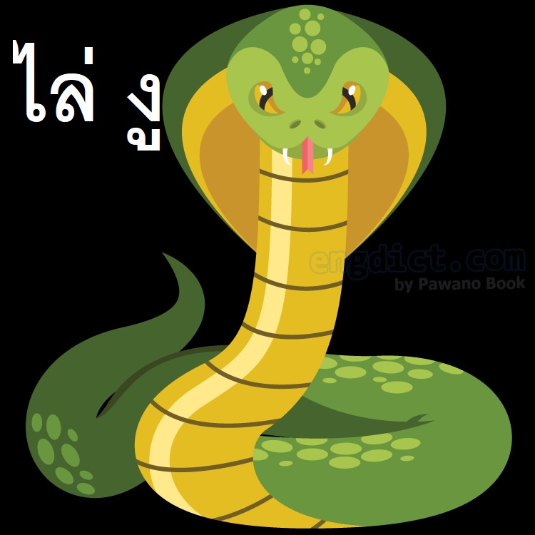 ผงไล่งูตัวเงินตัวทอง 3000กรัม ผสมดินเบา (SS-3) รูปที่ 2