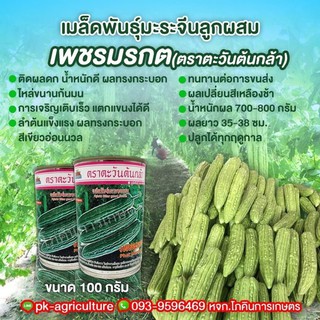 เมล็ดพันธุ์มะระจีน เพชรมรกต (ใหม่) ขนาด 100 กรัม