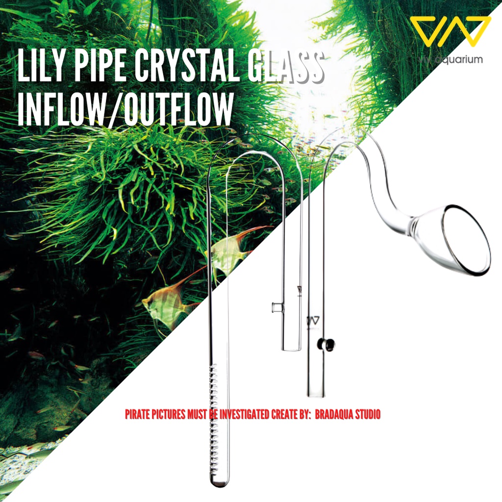 VIV Crystal Glass Lily Pipe Outflow & Inflow S / M / L