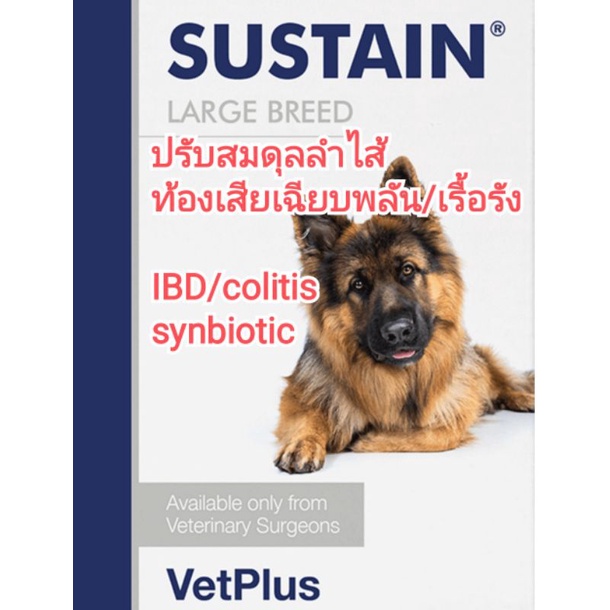 แบ่งขาย sustain vetplus synbiotic อาหารเสริมจุลินทรีย์สำหรับสุนัข สุนัขท้องเสีย หมาท้องเสีย สุนัขลำไส้อักเสบ (หนัก&gt;20kg)