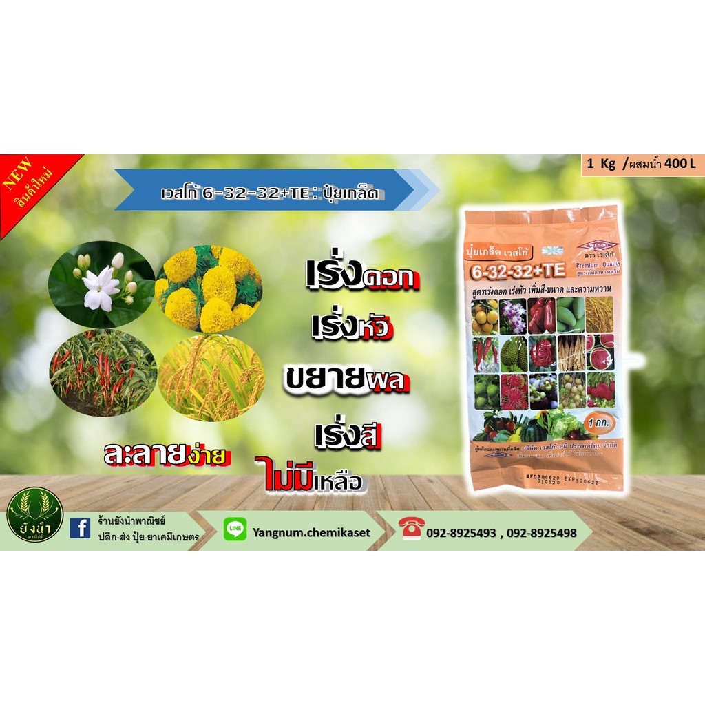 เวสโก้ : 6-32-32+TE ปุ๋ยเกล็ด+มีธาตุเสริม เร่งติดดอก เร่งหัว เพิ่มสีขยายผล และความหวาน