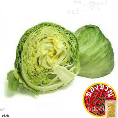 LETTUCE Iceberg Green Diamond Seeds (Approx 1,184 seeds) Original Pack50 seeds (not live plants)Mixe
