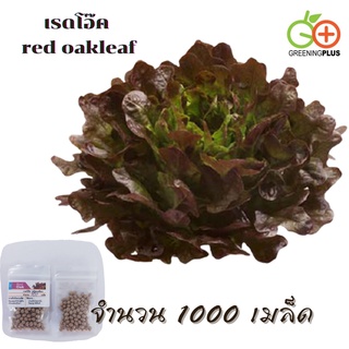 เรดโอ๊ค red oakleaf (MONDAI) Dutch 1000 pills(เคลือบ)