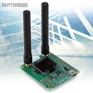 Rhythm000 2019 V1.3 for MMDVM HS Dual Hat Duplex Hotspot Module+OLED+Antenna Support P25/DMR/YSF