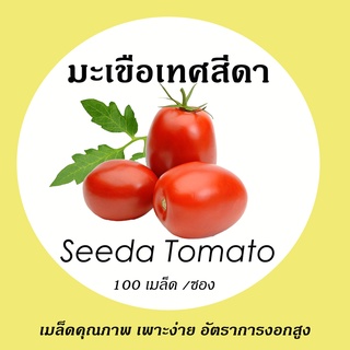 เมล็ดมะเขือเทศสีดา 10 บาท 100-120 เมล็ด เพาะง่าย อัตราการงอกสูง (ผัก ผักสวนครัว เมล็ดผัก เมล็ดพันธุ์ผัก ผักอินทรีย์  )