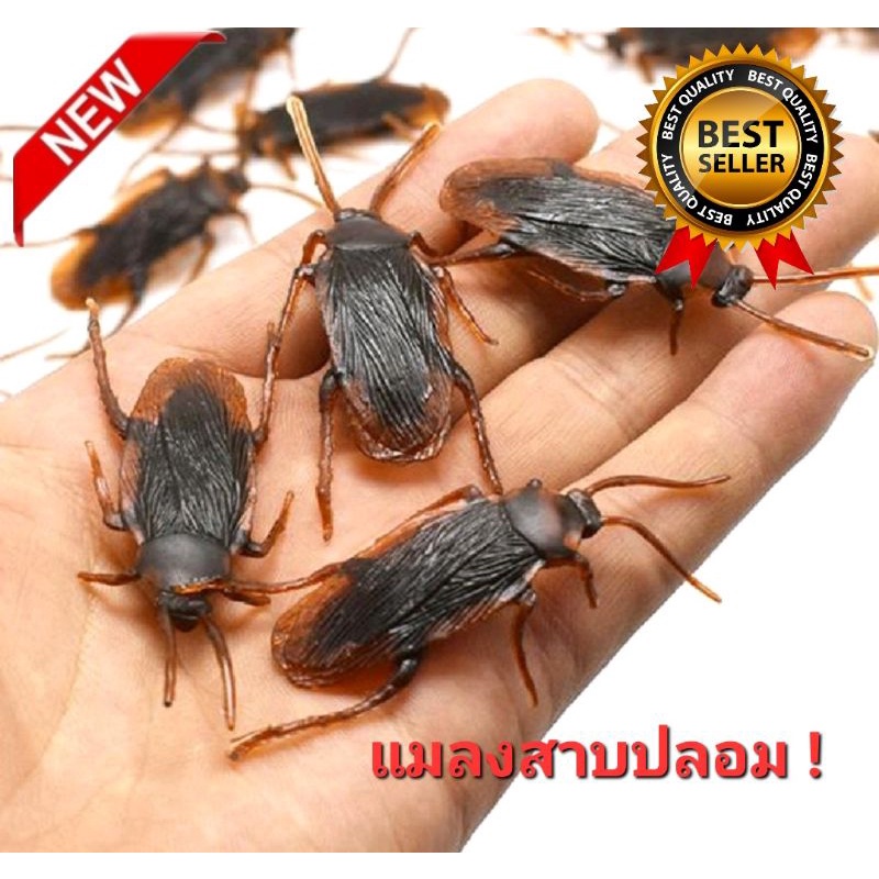 ออกใบกำกับภาษีได้ ของเล่นแกล้งคน แมลงสาบปลอม ของเล่นตกใจ แมลงตกใจ เอาไว้หลอกคนขวัญอ่อน ไม่เหมาะกับคนเป็นโรคหัวใจ