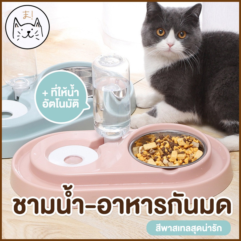 KUMA ชามกันมด ชามอาหารสัตว์เลี้ยง พร้อมที่ให้น้ำอัตโนมัติ ดีไซน์มินิมอล