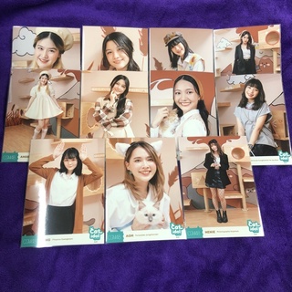 ใบเศษ photoset cat idol cgm48