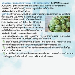 แอคเน่ ไลค์ ไมตาเกะ พลัส อาร์ติโช๊ค แอคเน่ โฟม (ACNE LINE MAITAKE PLUS ARTICHOKE ANCE FOAM)