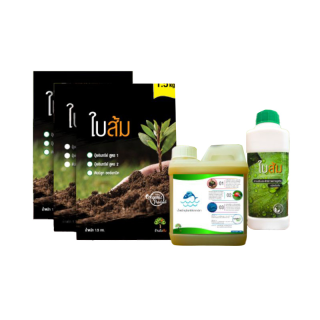 โปรโมชั่น : เซ็ตเร่งการเจริญเติบโต 1 ชุด