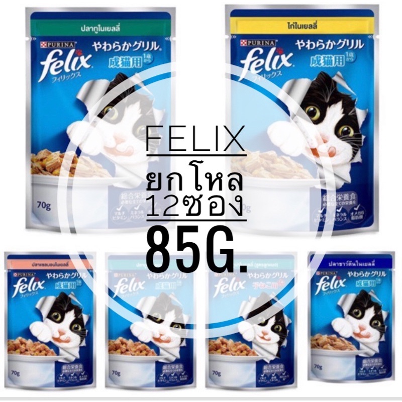 ยกโหล[12 ซอง] FELIX เฟลิกซ์  อาหารแมวเปียก ขนาด 70กรัม- 85 กรัม