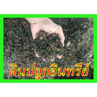 ดินปลูกอินทรีย์ 1.5 กิโลกรัม = 50 บาท