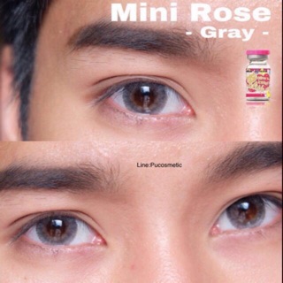 🍒Mini Rose Gray🍒สายตาปกติ,-4.25(kitty kawaii)