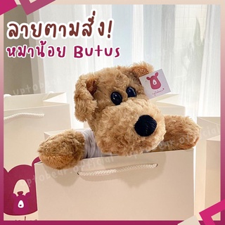 ตุ๊กตาหมา BUTUS ใส่เสื้อสกรีนลาย สกรีนรูป ได้ตามใจคุณ